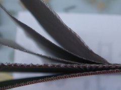 五层烧结网的特点和应用领域